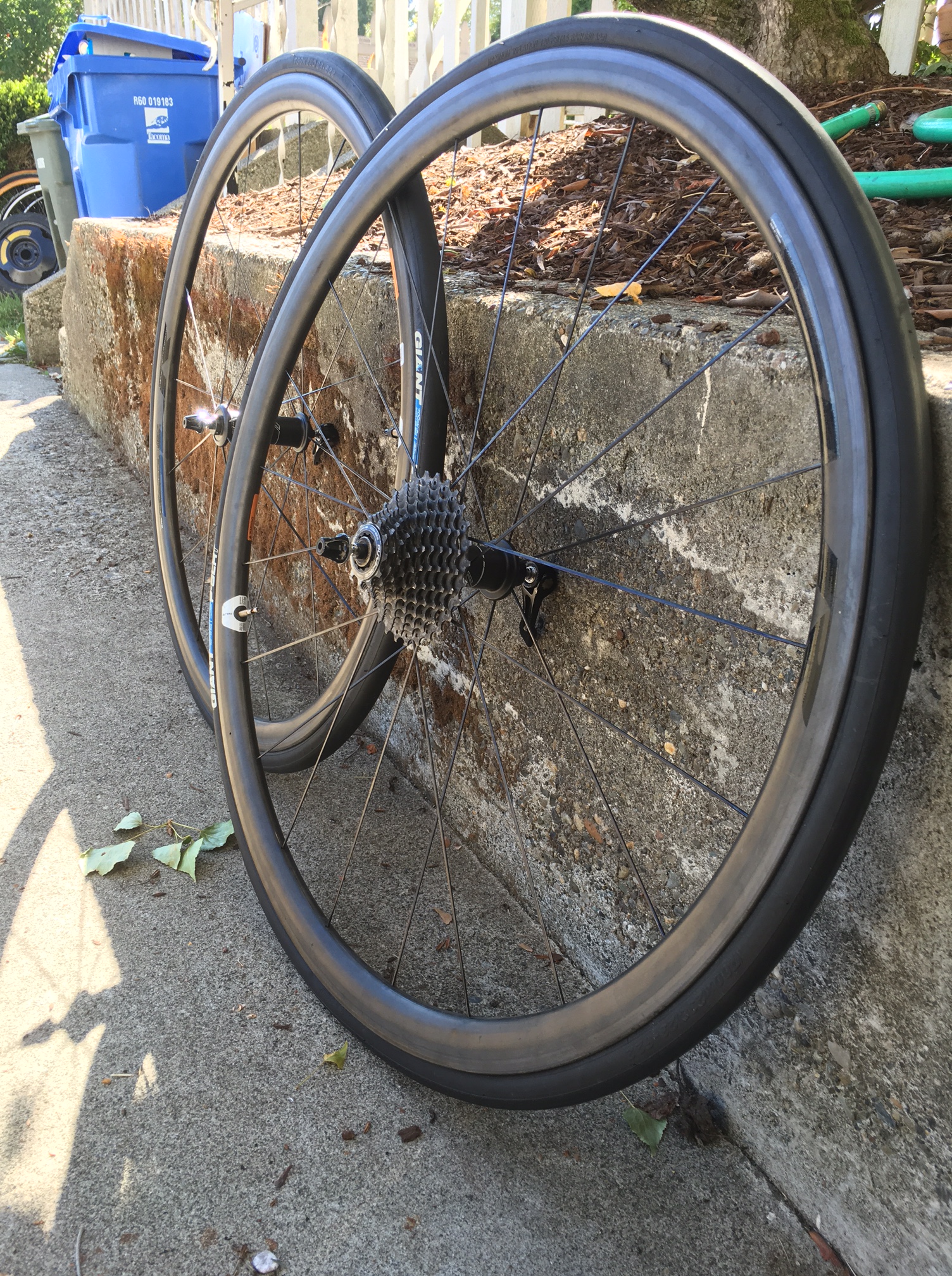 SingleSpeed Cyclocross Cascadia Wheel Co.